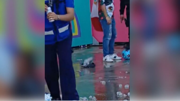 Paloma con comportamiento errático en el Fan Fest de Guadalajara se vuelve viral durante el Mundial 2026