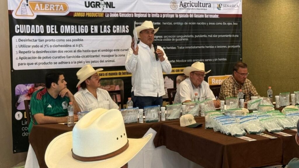 Ganado bovino en un rancho de Nuevo León bajo vigilancia sanitaria por gusano barrenador