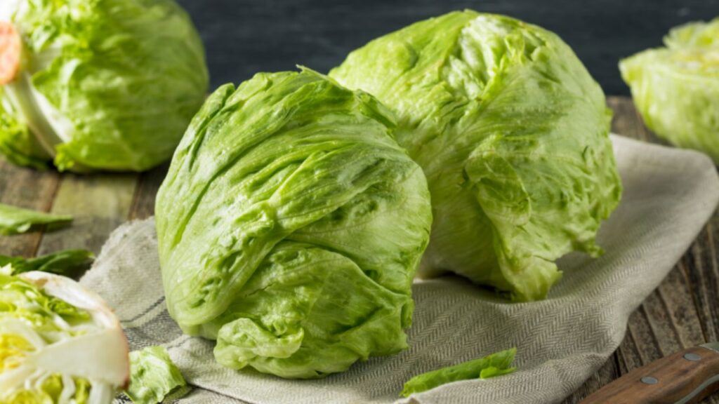 Instalaciones de planta procesadora de lechuga para exportación en México