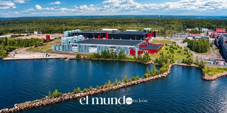 Google habría talado ilegalmente un bosque protegido en Finlandia desde 2018